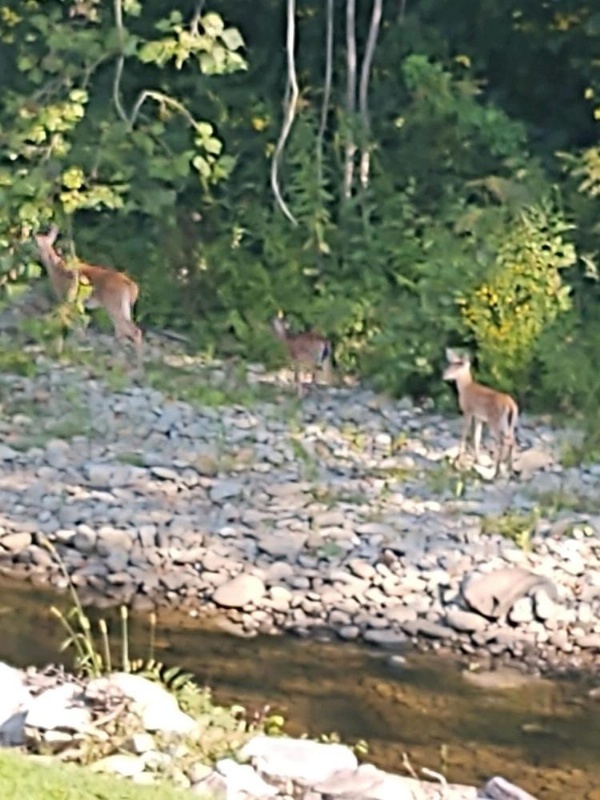 Quality Inn Cherokee image 25