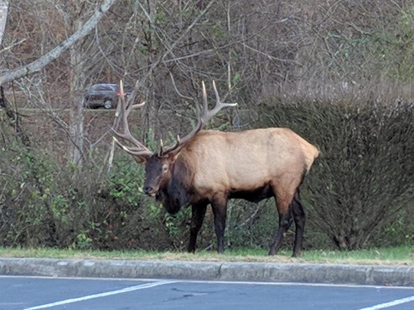 Quality Inn Cherokee image 26
