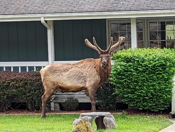 Quality Inn Cherokee image 27